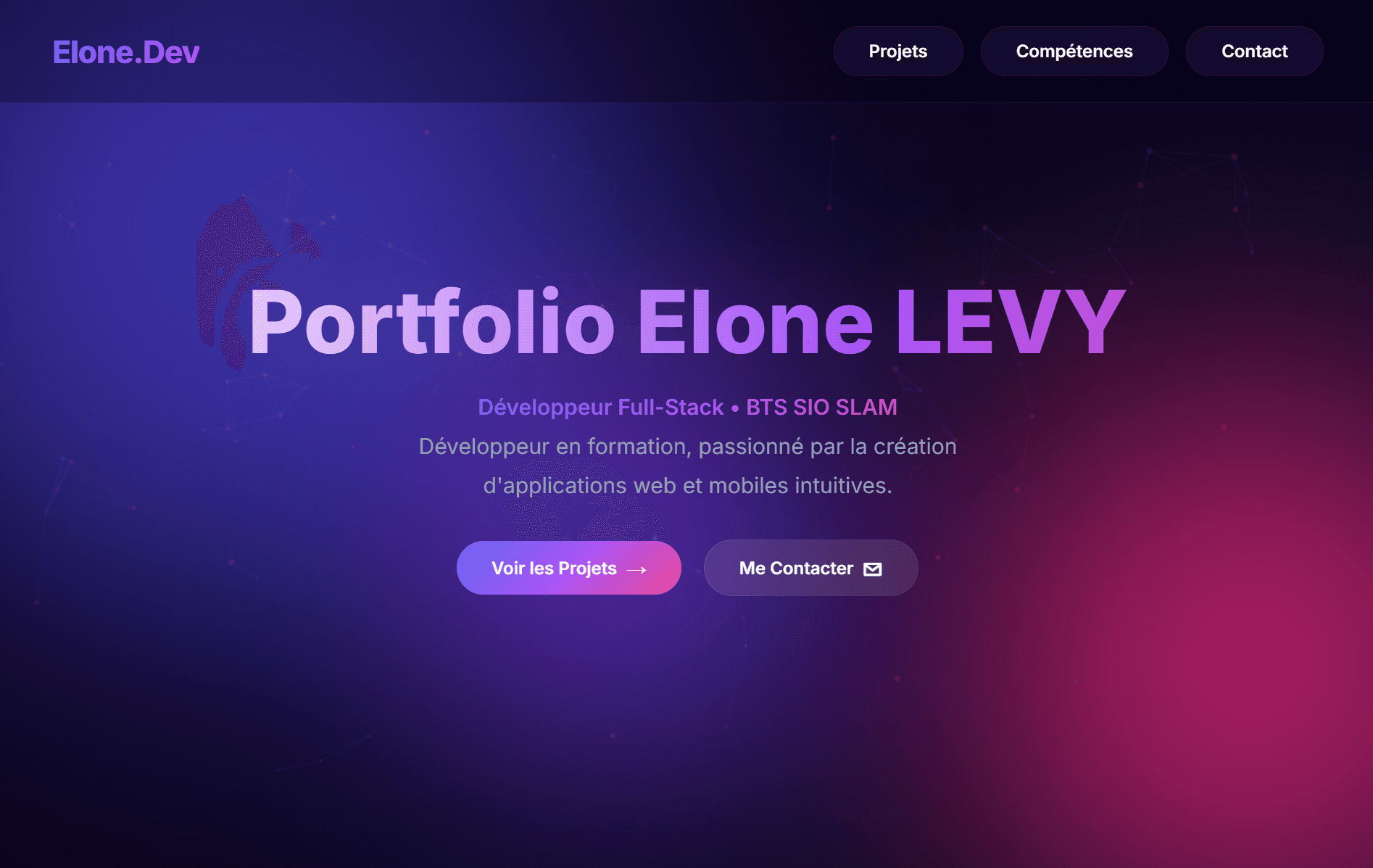 Aperçu du projet Site Personnel